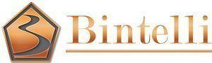 Bintelli Logo.